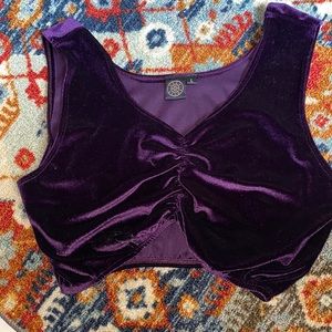 Bollywood Bellydance style cropped top. Velvet